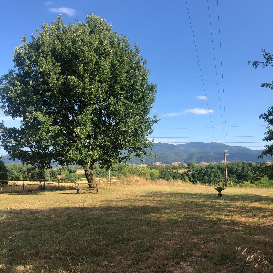 Dreams Valley Valmontone Bagian luar foto