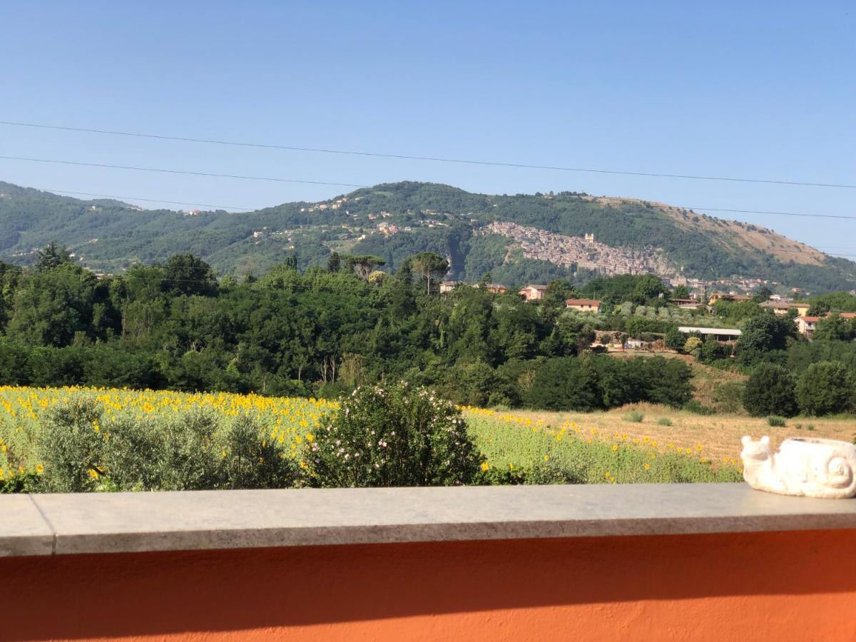 Dreams Valley Valmontone Bagian luar foto