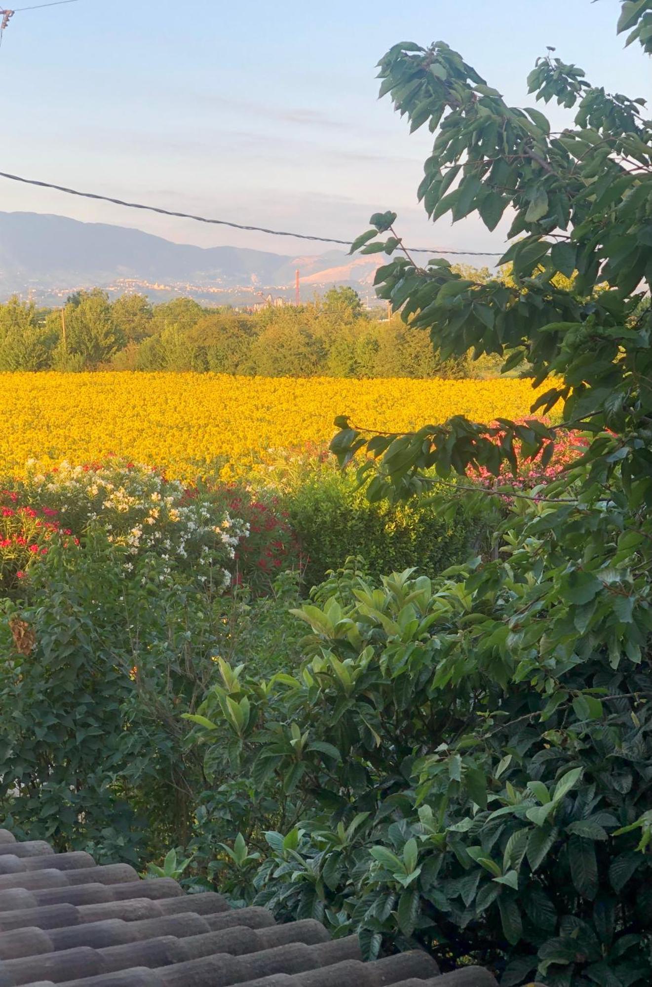 Dreams Valley Valmontone Bagian luar foto