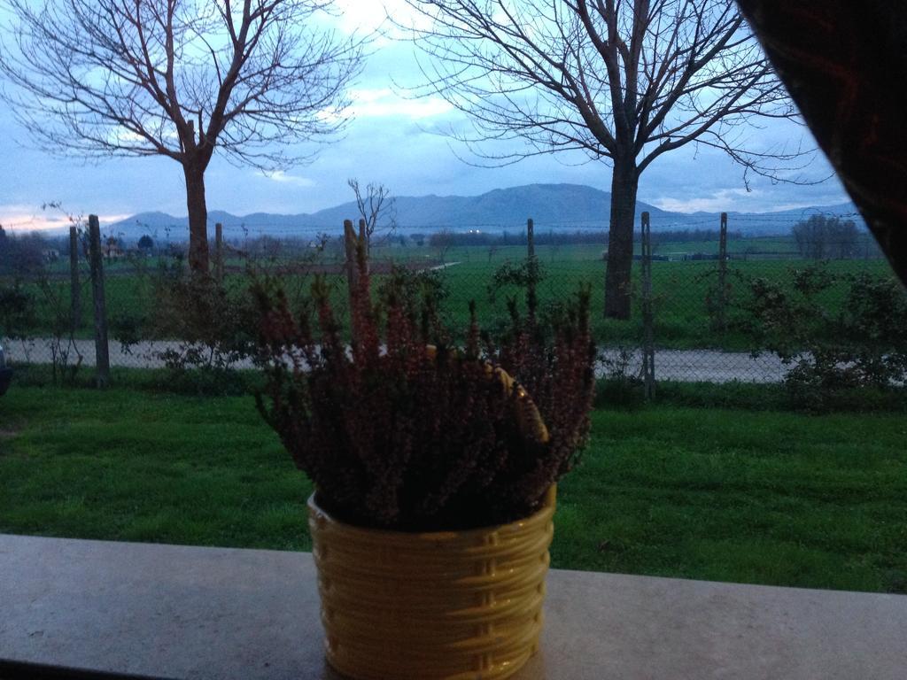 Dreams Valley Valmontone Bagian luar foto