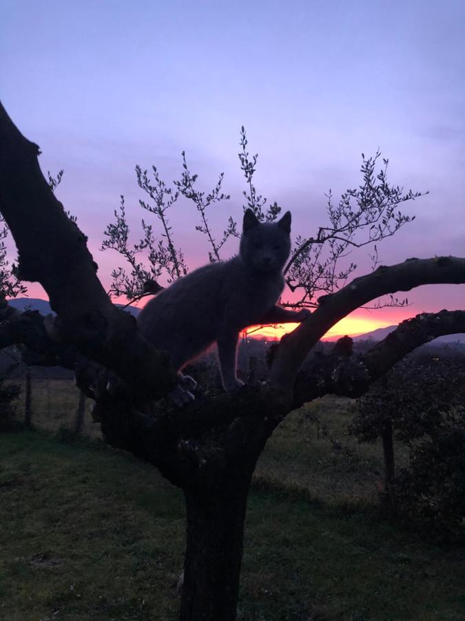 Dreams Valley Valmontone Bagian luar foto